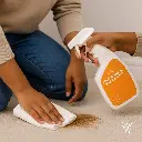 Furniture Kit Lifestyle Images (Spot Remover for Carpets).webp