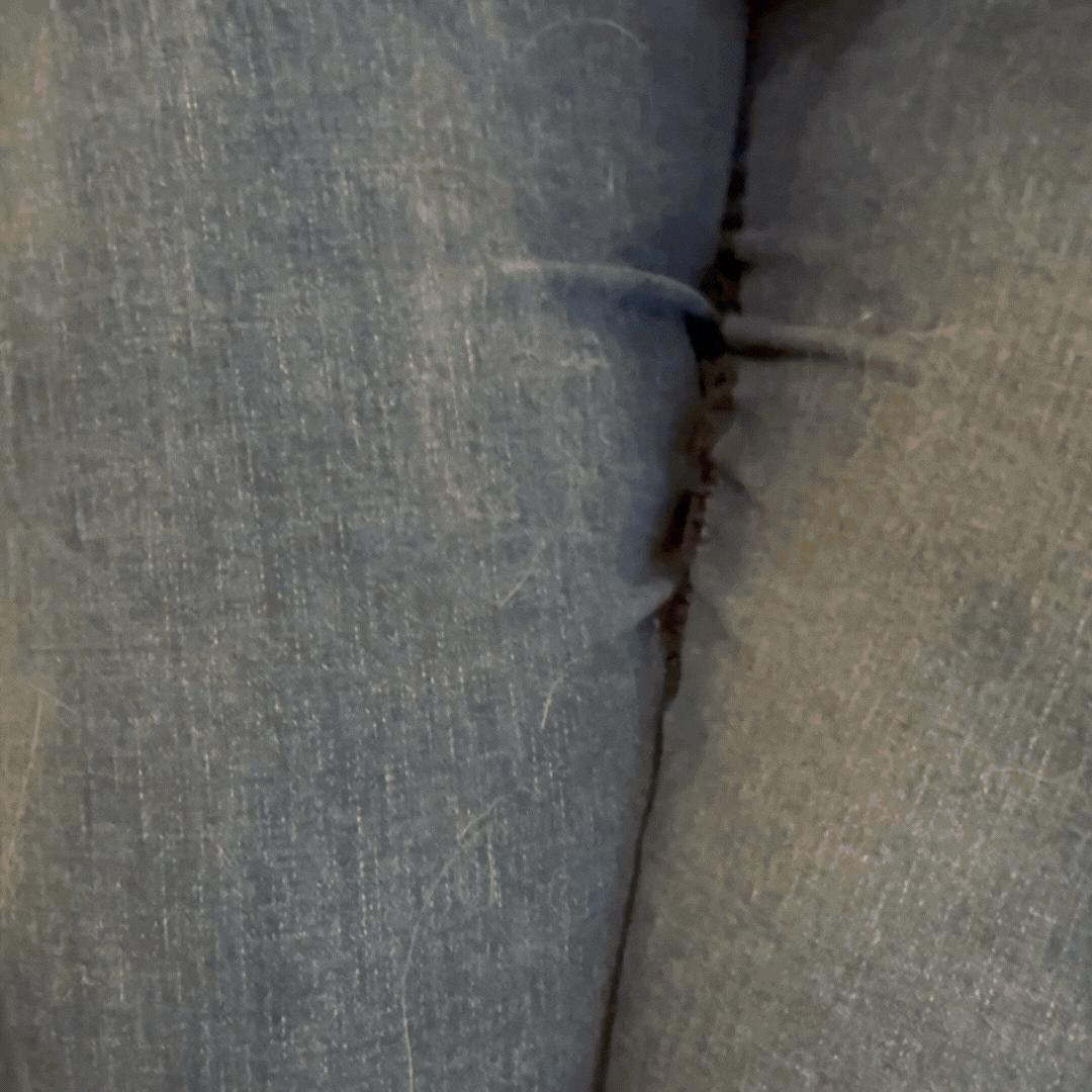 gif reusable portable hair sticking device on pet fur in pants.gif