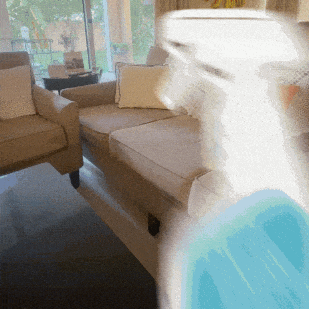 gif pet dry shampoo 700 mL.gif