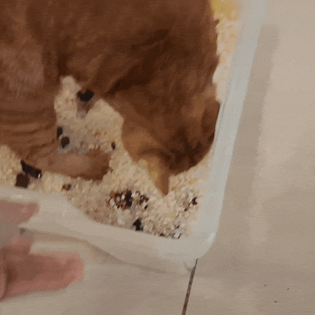 gif pet-safe disinfectant and cleaner 700 mL.gif