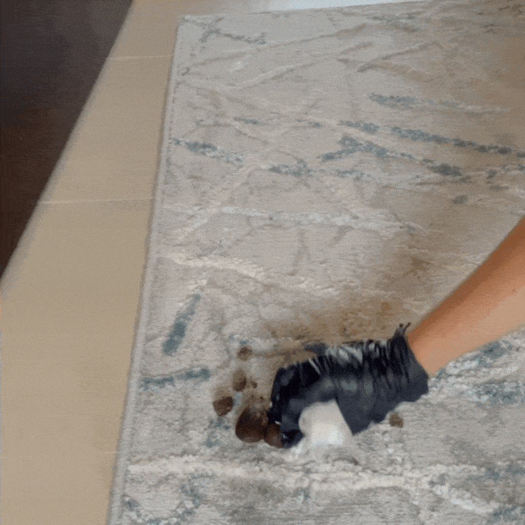 gif pet urine odor remover 700 mL.gif