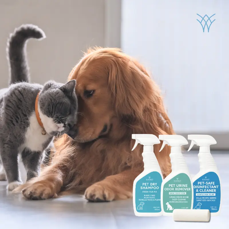 Pet Kit Hero Image.webp