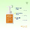 Home Kit Individual Product Shots (Manual Dishwash Foam).webp